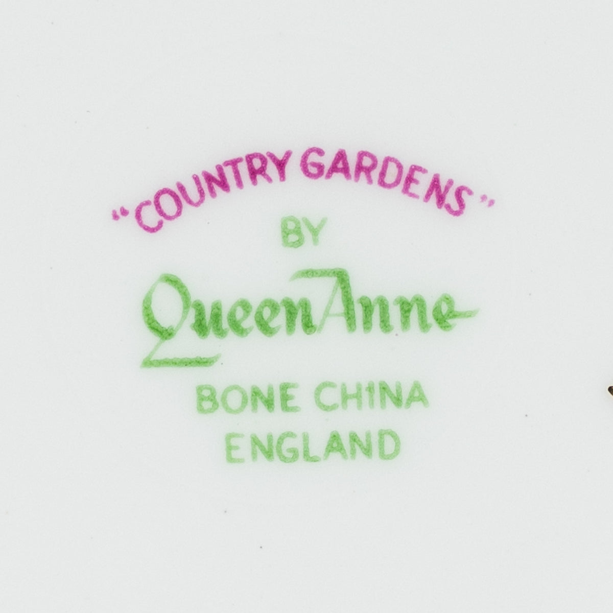 Queen Anne Country Gardens Teacup Set